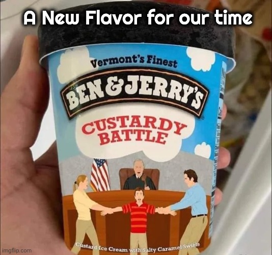 Judge's Verdict : Delicious ! | A New Flavor for our time | image tagged in ice cream,for those times,ben and jerry,creamy | made w/ Imgflip meme maker