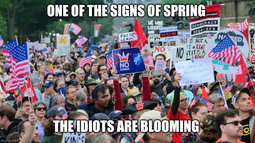 no kings | One of the signs of spring; The idiots are blooming | image tagged in no kings | made w/ Imgflip meme maker