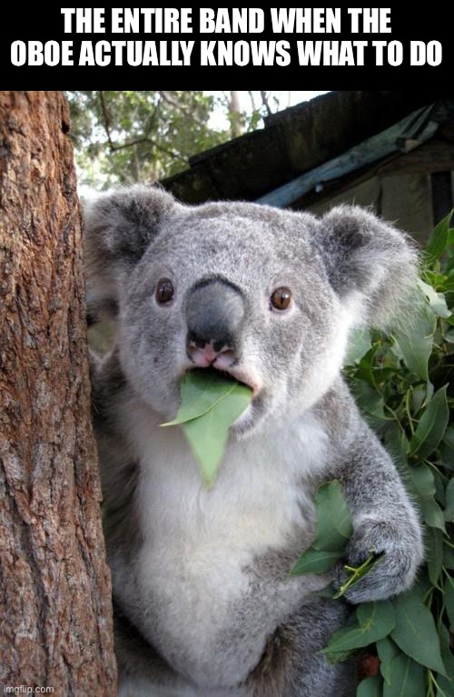 No way the oboe just did that | The entire band when the oboe actually knows what to do | image tagged in memes,surprised koala,band | made w/ Imgflip meme maker
