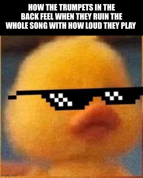 Trumpets | How the trumpets in the back feel when they ruin the whole song with how loud they play | image tagged in swag duck,memes,band | made w/ Imgflip meme maker