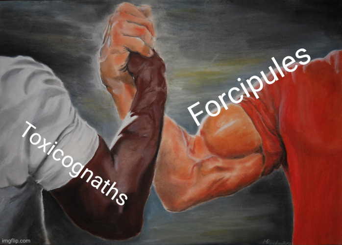 Epic Handshake Meme | Forcipules; Toxicognaths | image tagged in memes,epic handshake | made w/ Imgflip meme maker