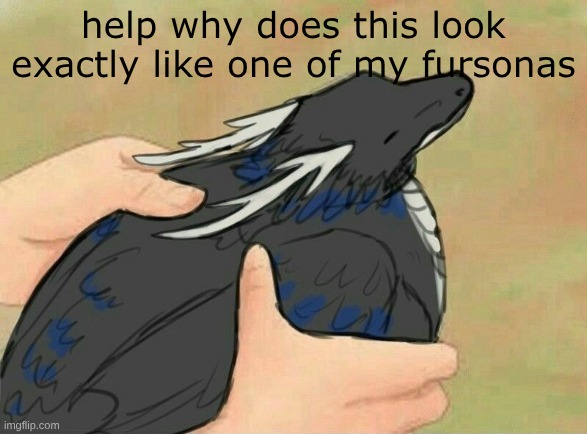 aieqe hfiushzdiw | help why does this look exactly like one of my fursonas | made w/ Imgflip meme maker