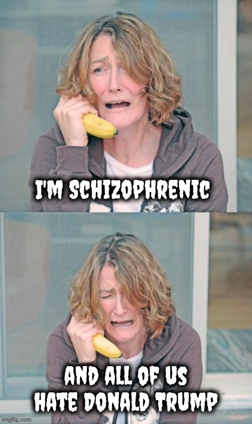 Alt-accounts , alt-accounts everywhere | I'm Schizophrenic; and all of us hate Donald Trump | image tagged in mental patient,schizophrenia,always someone to talk to,never alone,tds,sharing is caring | made w/ Imgflip meme maker