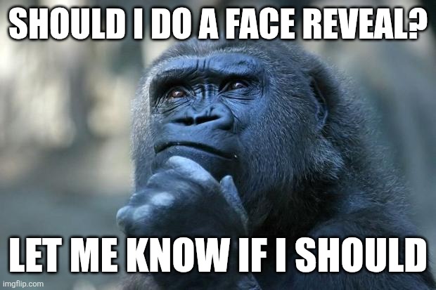 Should I do a face reveal? | Should I do a face reveal? Let me know if I should | image tagged in deep thoughts | made w/ Imgflip meme maker