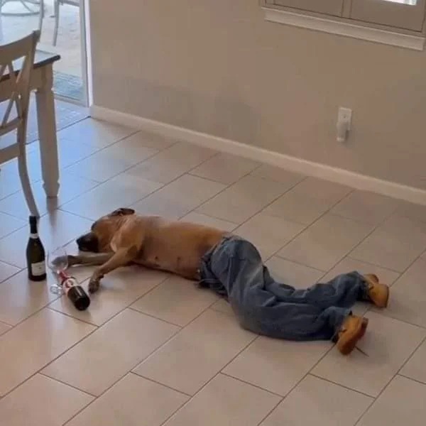 Chrisjoines1 Blank Meme Template