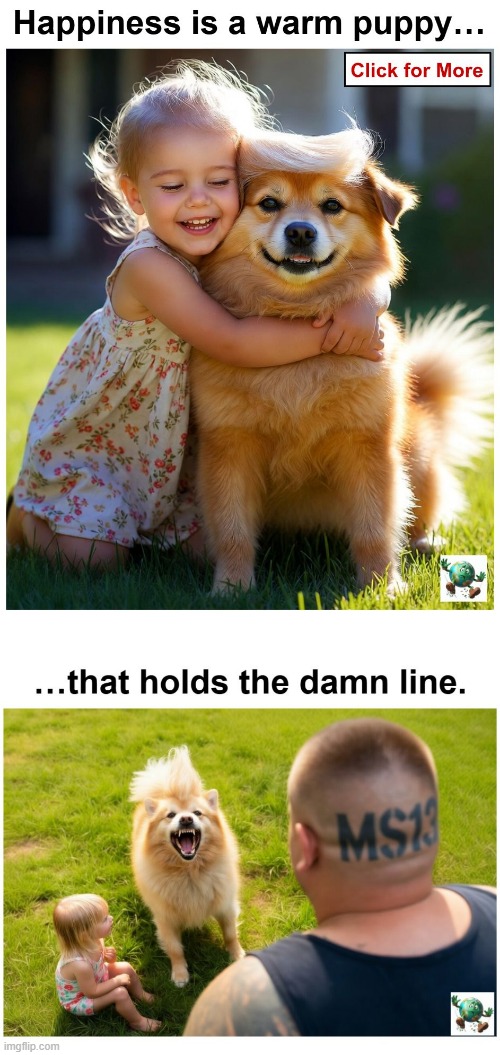 Should law enforcement prioritize strict order, or adopt a more permissive, reform-focused approach to crime? | image tagged in maga,conservative,crime | made w/ Imgflip meme maker