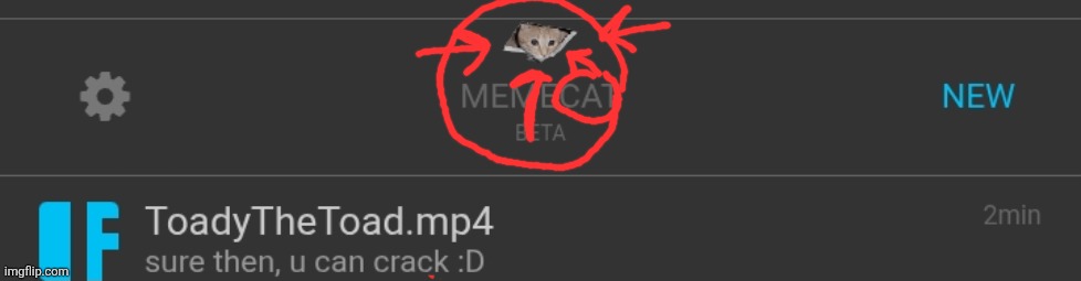 there's a cat hidden there | made w/ Imgflip meme maker