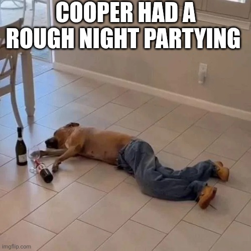 Cooper Had A Rough Night Partying | Cooper had a rough night partying | image tagged in chrisjoines1 | made w/ Imgflip meme maker