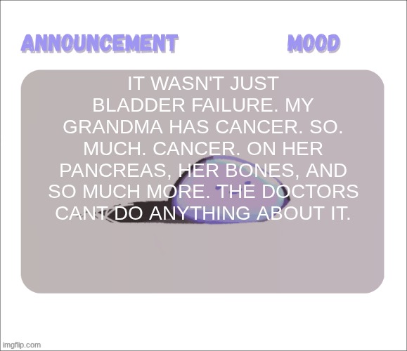 She'll be dead in a few days. maybe tomorrow. My parents left me home. they said she cant eat. she couldn't talk. | it wasn't just bladder failure. my grandma has cancer. SO. much. cancer. on her pancreas, her bones, and so much more. the doctors cant do anything about it. | image tagged in petrock's temp | made w/ Imgflip meme maker