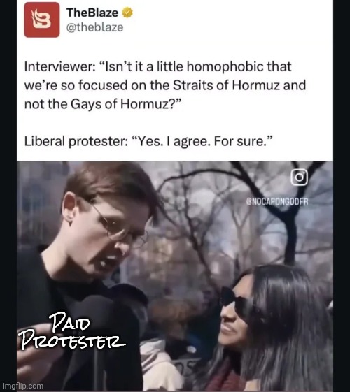 Clueless | Paid
Protester | image tagged in no kings,there's no brain here,you guys are getting paid,billionaires told you,do you are have stupid | made w/ Imgflip meme maker