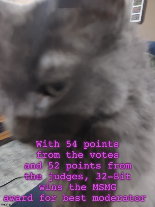 32's Cat | With 54 points from the votes and 52 points from the judges, 32-Bit wins the MSMG award for best moderator | image tagged in 32's cat | made w/ Imgflip meme maker