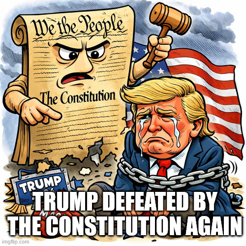 TRUMP DEFEATED BY THE CONSTITUTION | TRUMP DEFEATED BY THE CONSTITUTION AGAIN | image tagged in trump,maga,biggest loser,we the people,ya'll mother fuckers | made w/ Imgflip meme maker