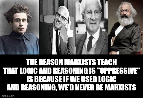 If someone is trying to tell you "logic is racist" it's because they want you dumb | The reason Marxists teach that logic and reasoning is "oppressive" is because if we used logic and reasoning, we'd never be Marxists | image tagged in political meme,politicstoo,marxism,socialists,communism,leftism is evil | made w/ Imgflip meme maker