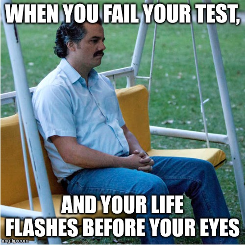 If only I could go back in time... | When you fail your test, And your life flashes before your eyes | image tagged in sad pablo alone on swing - square | made w/ Imgflip meme maker
