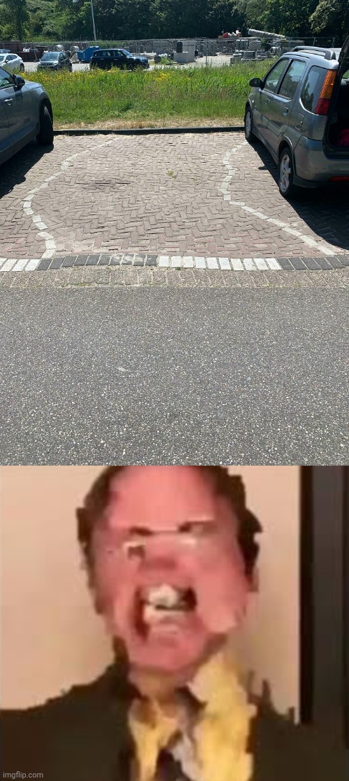 Curves instead of straight lines | image tagged in dwight screaming,parking lot,parking,park,memes,you had one job | made w/ Imgflip meme maker