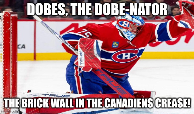 Dobes, the Dobe-nator | Dobes, the Dobe-nator; The brick wall in the Canadiens crease! | image tagged in montreal canadiens,dobes,goalie | made w/ Imgflip meme maker