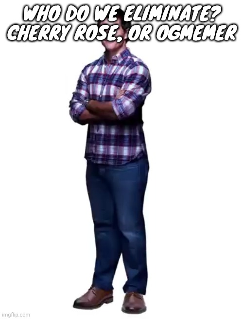Sonic guy | Who do we eliminate? Cherry rose, or ogmemer | image tagged in sonic guy | made w/ Imgflip meme maker