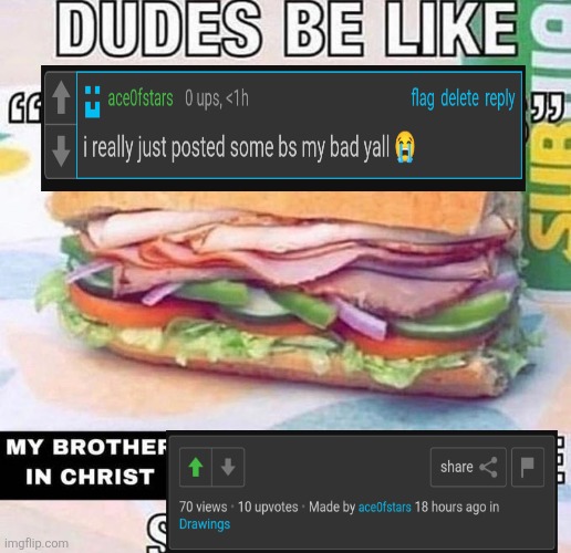 Brother in Christ Subway | image tagged in brother in christ subway | made w/ Imgflip meme maker