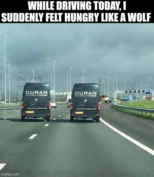 While Driving Today I Suddenly Felt Hungry Like A Wolf | While Driving today, I suddenly felt hungry like a wolf | image tagged in chrisjoines1 | made w/ Imgflip meme maker