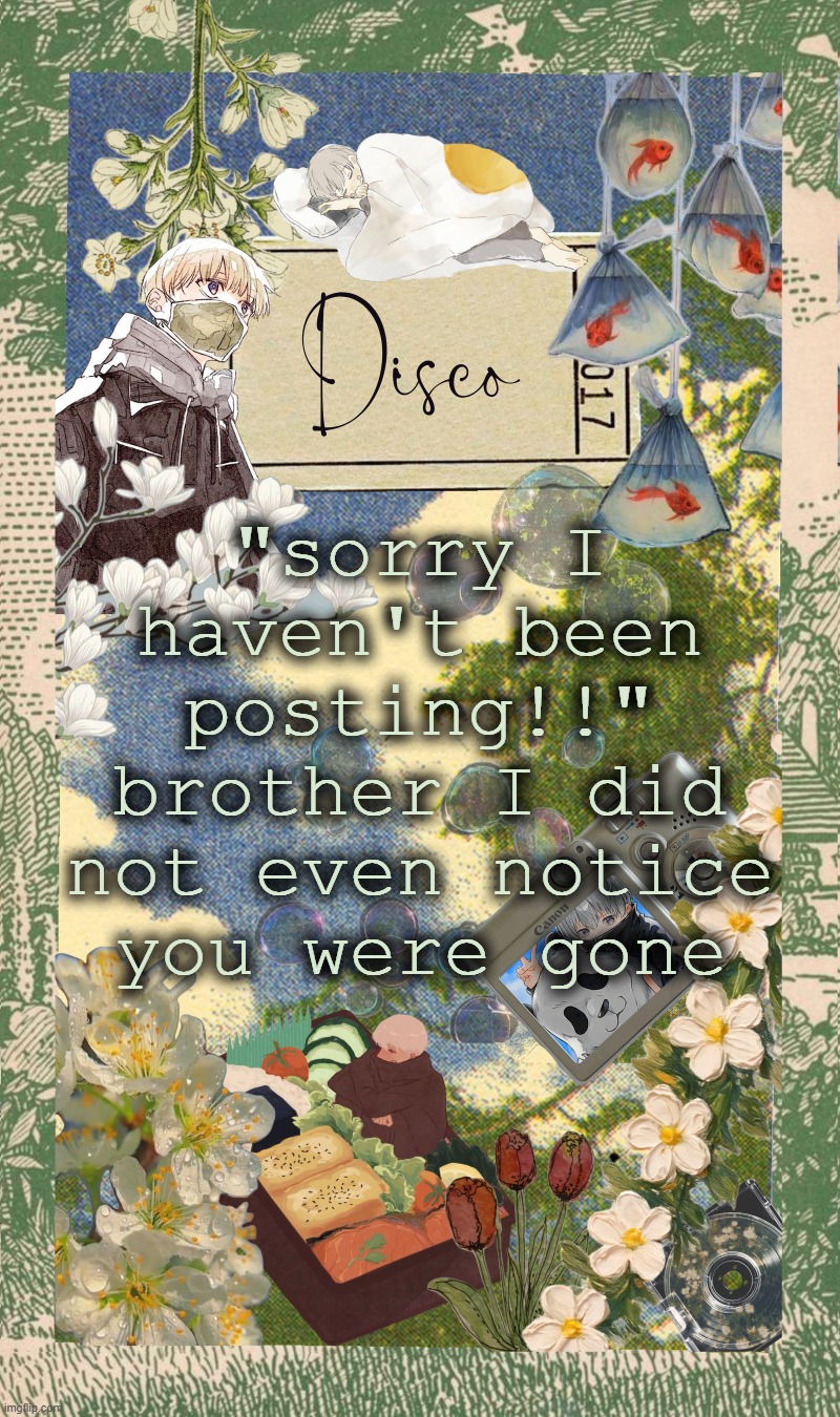 wild when random users think we expect consistent posts from them | "sorry I haven't been posting!!" brother I did not even notice you were gone | image tagged in disco's spring template | made w/ Imgflip meme maker