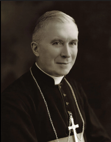 High Quality levebvre Blank Meme Template