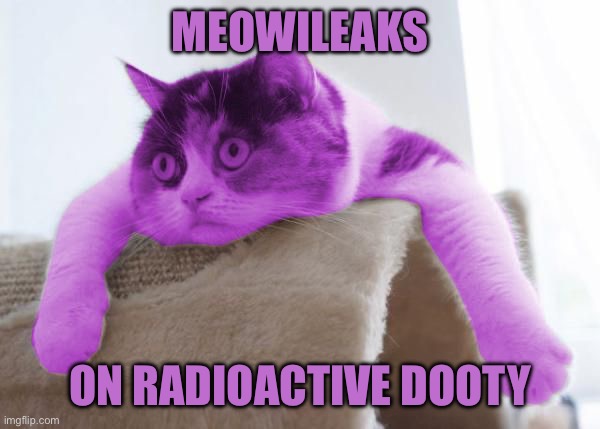 RayCat Stare | Meowileaks; On Radioactive dooty | image tagged in raycat stare | made w/ Imgflip meme maker