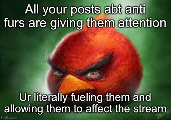 Whatever happened to ignoring peop | All your posts abt anti furs are giving them attention; Ur literally fueling them and allowing them to affect the stream | image tagged in realistic red angry birds | made w/ Imgflip meme maker