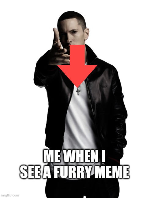 Eminem throw | Me when I see a furry meme | image tagged in eminem throw | made w/ Imgflip meme maker
