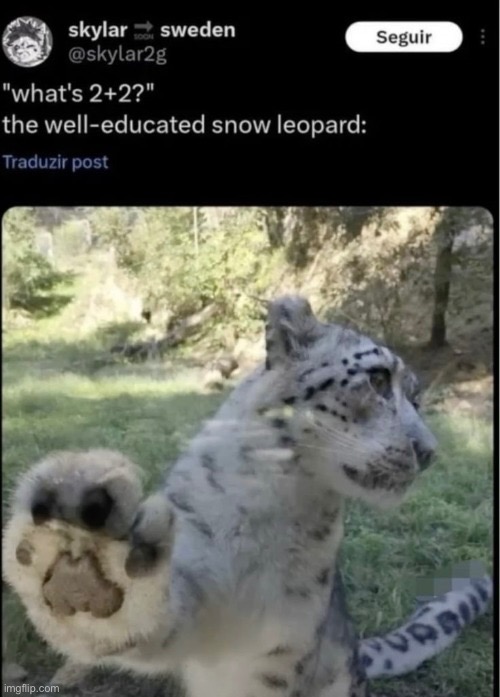 image tagged in msmg | made w/ Imgflip meme maker