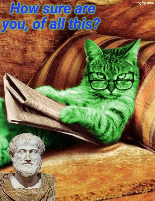How sure are you, of all this? | image tagged in factual raycat | made w/ Imgflip meme maker