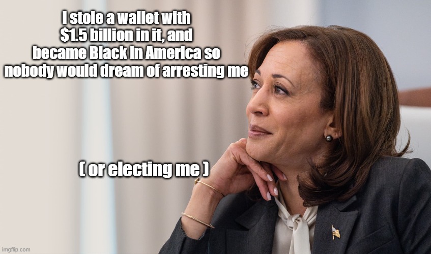 I stole a wallet with $1.5 billion in it, and became Black in America so nobody would dream of arresting me ( or electing me ) | made w/ Imgflip meme maker