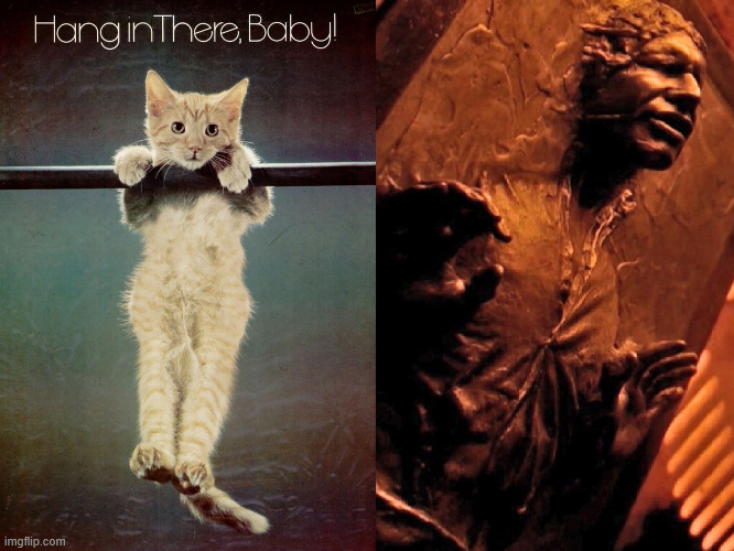 Hang in there Baby, Han Solo Frozen in Carbonite | image tagged in han solo frozen carbonite,hang in there | made w/ Imgflip meme maker