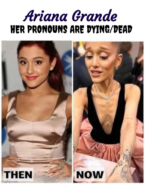 Really gone to Hell | Ariana Grande; Her pronouns are Dying/Dead | image tagged in ariana grande,emaciated,what the hell happened here,vegan,vampire | made w/ Imgflip meme maker
