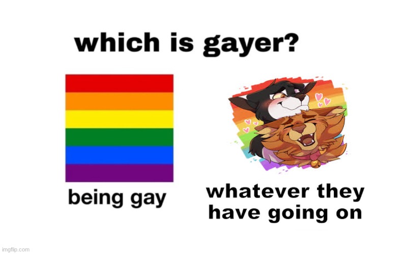 talljake my beloved! | image tagged in which is gayer | made w/ Imgflip meme maker