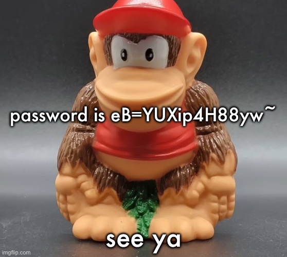 first person to log in gets to be me and should probably change the password | password is eB=YUXip4H88yw~; see ya | image tagged in diddy kong | made w/ Imgflip meme maker