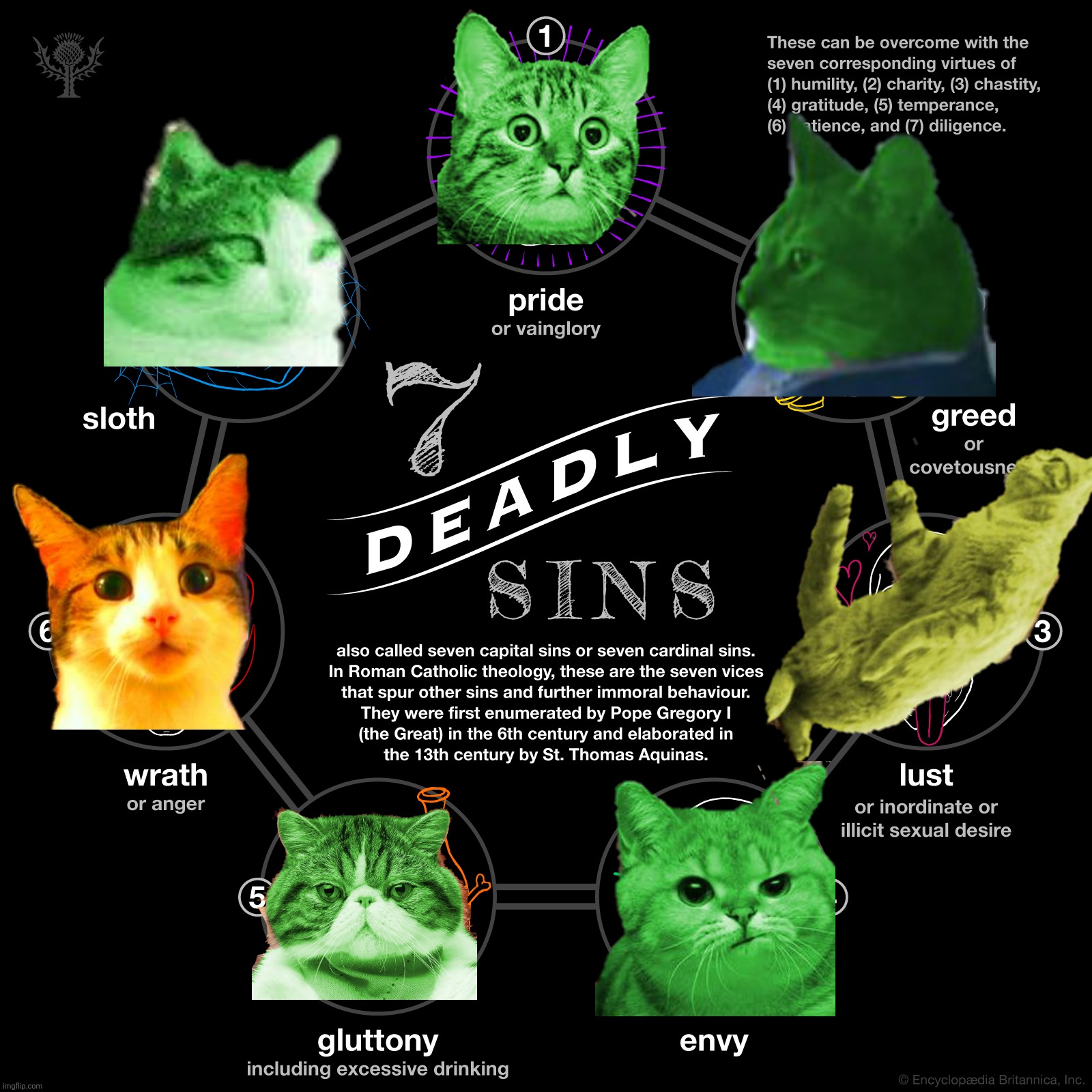 The Seven Deadly RayCats | image tagged in the seven deadly sins | made w/ Imgflip meme maker