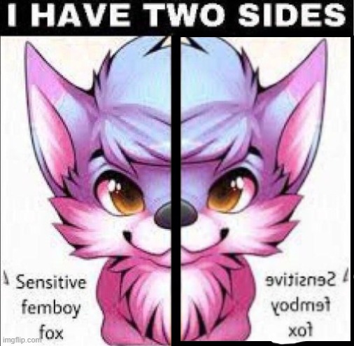 I have two sides | image tagged in i have two sides | made w/ Imgflip meme maker