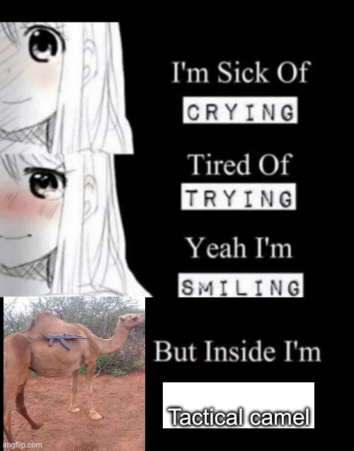 I'm Sick Of Crying | Tactical camel | image tagged in i'm sick of crying | made w/ Imgflip meme maker