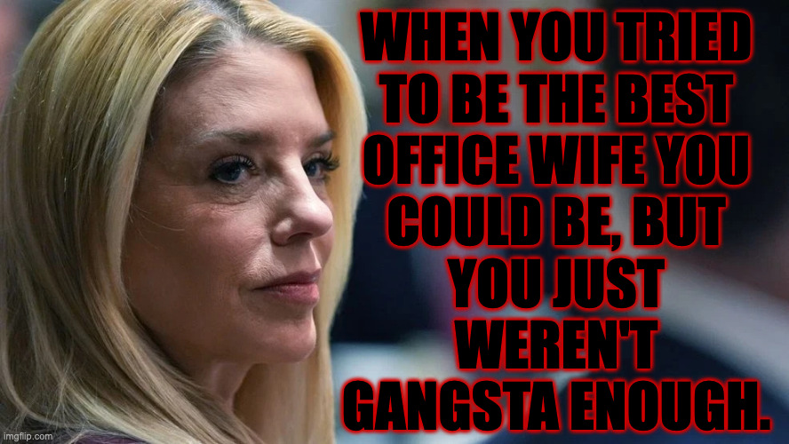 Gangsta no more. | when you tried
to be the best
office wife you
could be, but
you just
weren't
gangsta enough. | image tagged in memes,pam bondi,gangsta no more | made w/ Imgflip meme maker