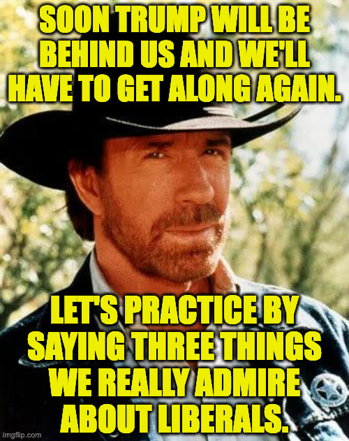 I'll start.  Liberals have always been the conscience of America. | soon trump will be behind us and we'll have to get along again. let's practice by
saying three things
we really admire
about liberals. | image tagged in memes,chuck norris,liberals | made w/ Imgflip meme maker