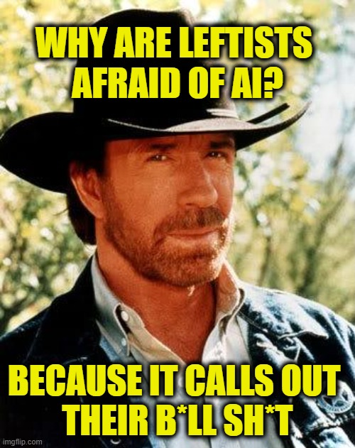 More Leftist Logic | Why are Leftists 
afraid of AI? Because it calls out 
their B*ll Sh*t | image tagged in memes,chuck norris | made w/ Imgflip meme maker