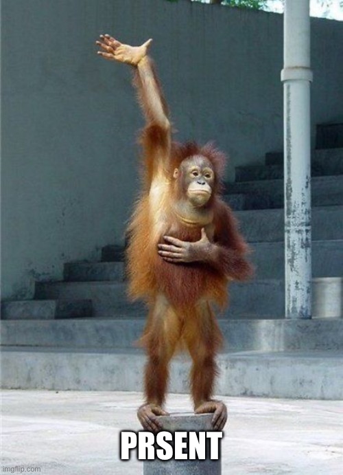 Monkey Raising Hand | Present | image tagged in monkey raising hand | made w/ Imgflip meme maker