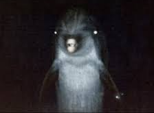 Evil Dolphin Blank Meme Template