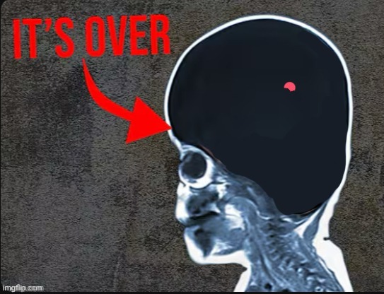 It's over | image tagged in it's over | made w/ Imgflip meme maker