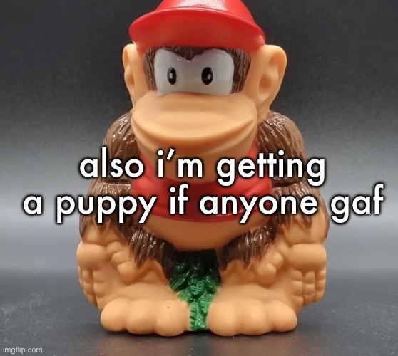 diddy kong | also i’m getting a puppy if anyone gaf | image tagged in diddy kong | made w/ Imgflip meme maker