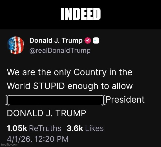 trump is a fake american toddler | indeed | image tagged in trumpisachild,republicansarefakeamericans,conservativesarecancer,magaarepedoprotectors,trumpisaworthlessgrifter | made w/ Imgflip meme maker