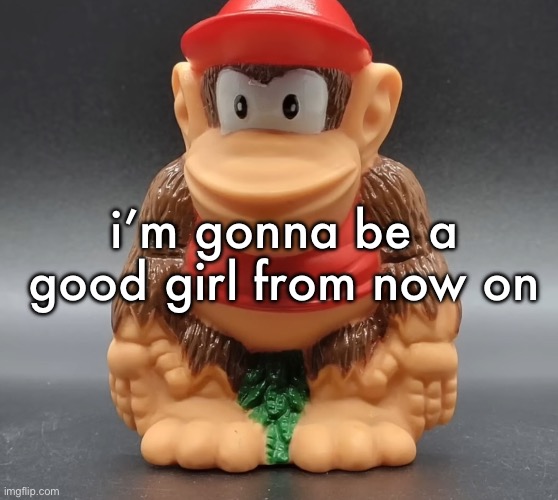 i hate being hated | i’m gonna be a good girl from now on | image tagged in diddy kong | made w/ Imgflip meme maker