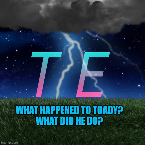 template #idek | What happened to Toady?
What did he do? | image tagged in template idek | made w/ Imgflip meme maker