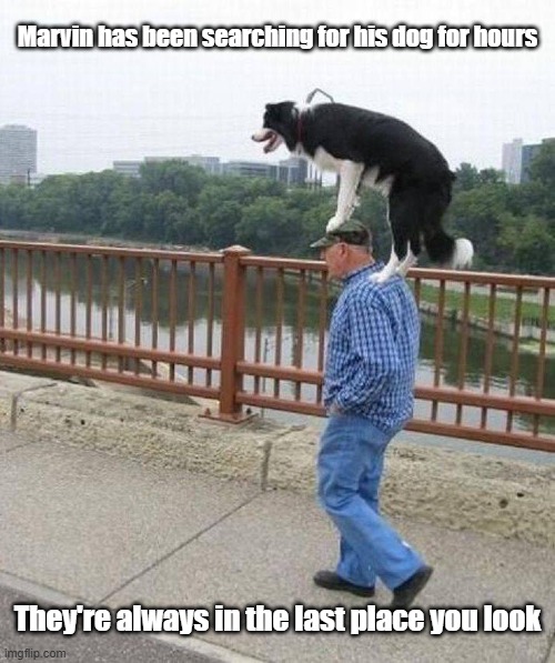 Missing Dog | Marvin has been searching for his dog for hours; They're always in the last place you look | image tagged in lost,dog,search,duh | made w/ Imgflip meme maker
