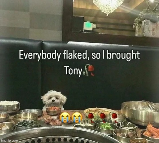 image tagged in msmg | made w/ Imgflip meme maker